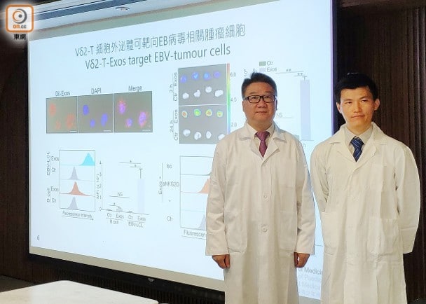 Vδ2‑T細胞外泌體可有效治療EB病毒引起的相關腫瘤