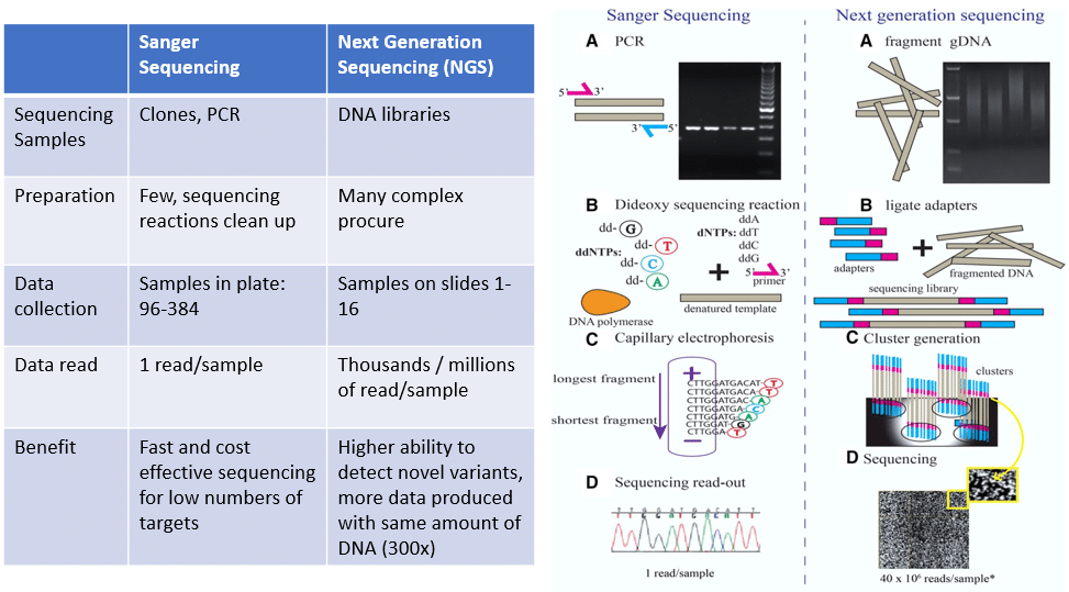 Comprehensive Cancer Genomics Profiling3