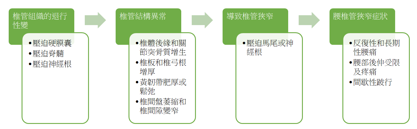 腰椎椎管狹窄症發病機制